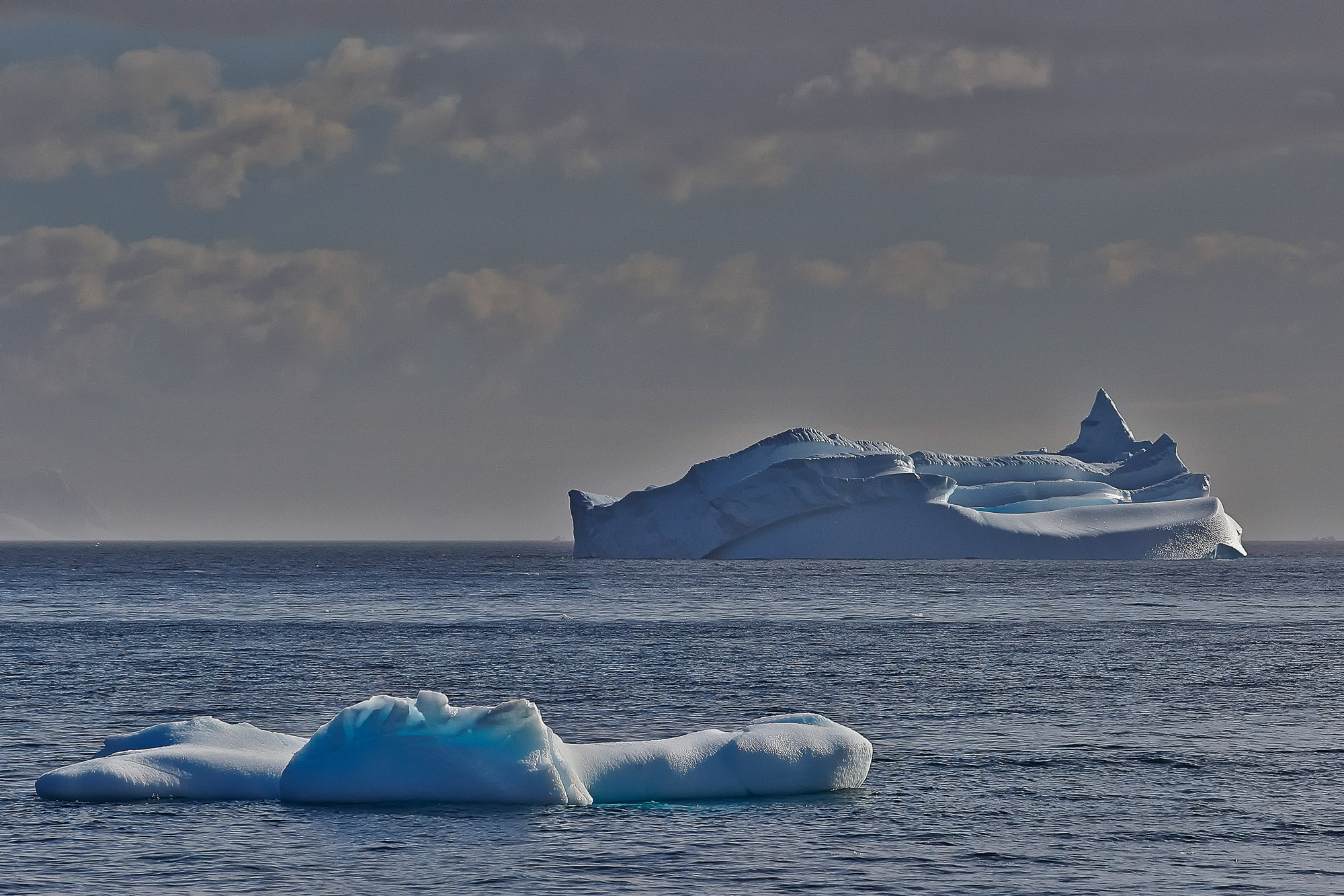iceberg in the Antarctic Sound